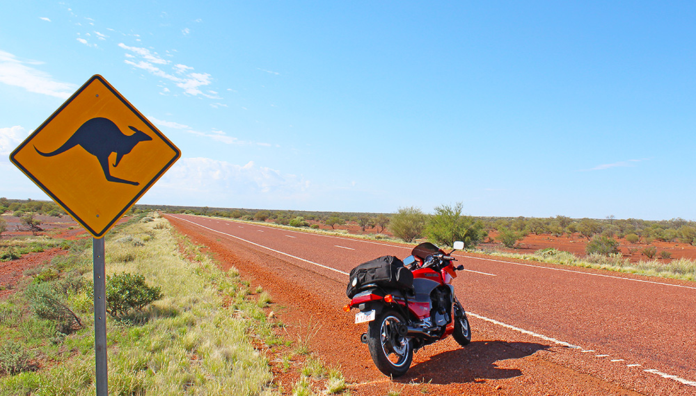 kangaroo road sign northern territory