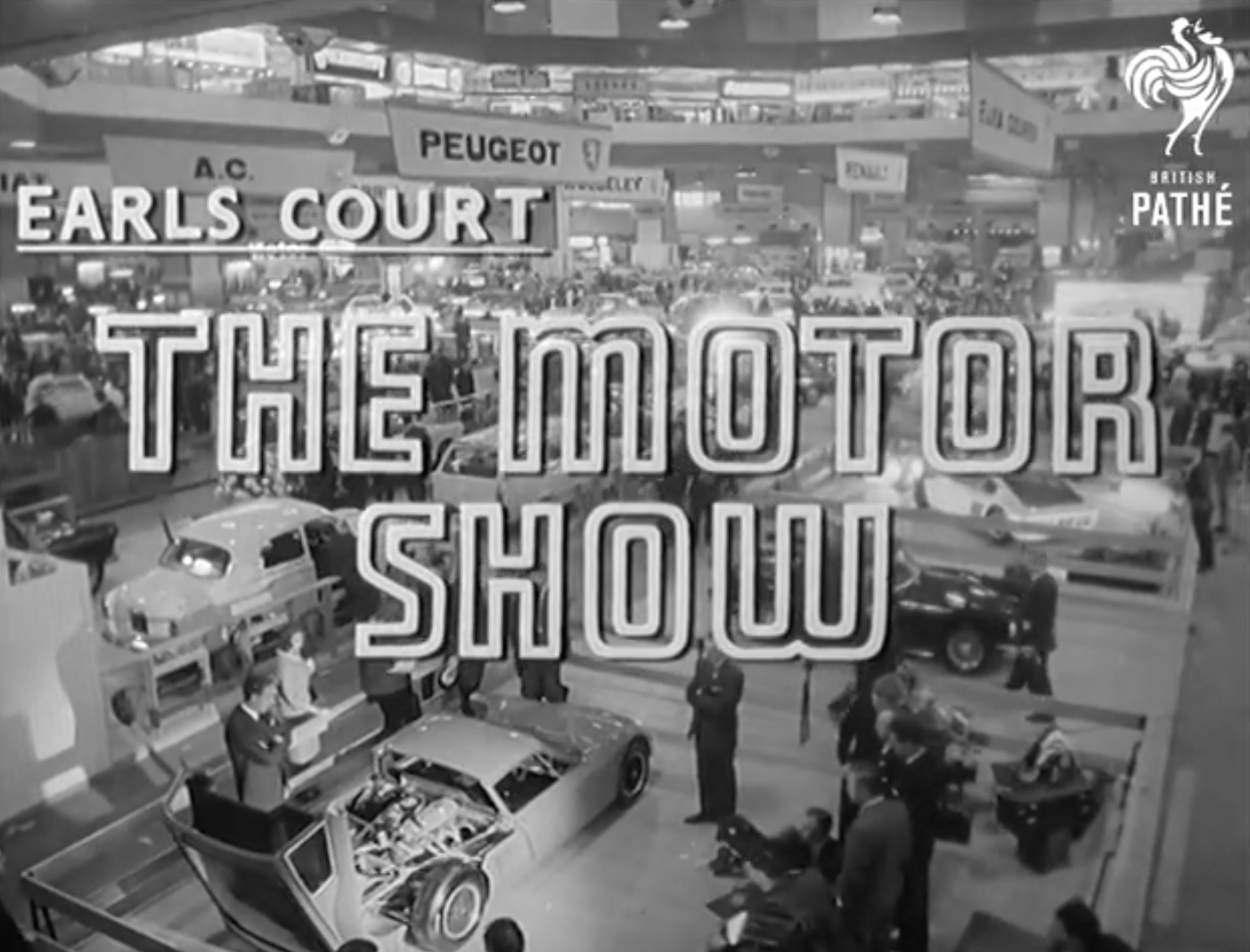 earls court
                      motor chow 1964