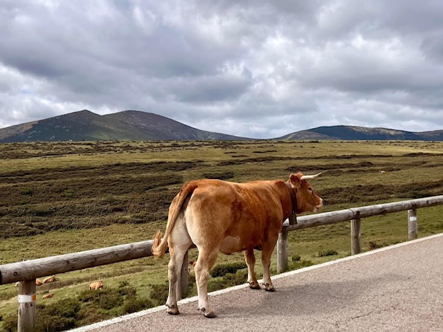 spanish
              holiday moto guzzi ride